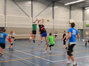 UA151128volleybaltoernooi50.JPG